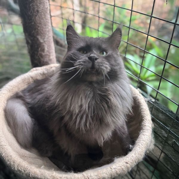 Alaskan Prince of Heavensgate