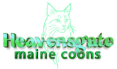 Heavensgate Maine Coons
